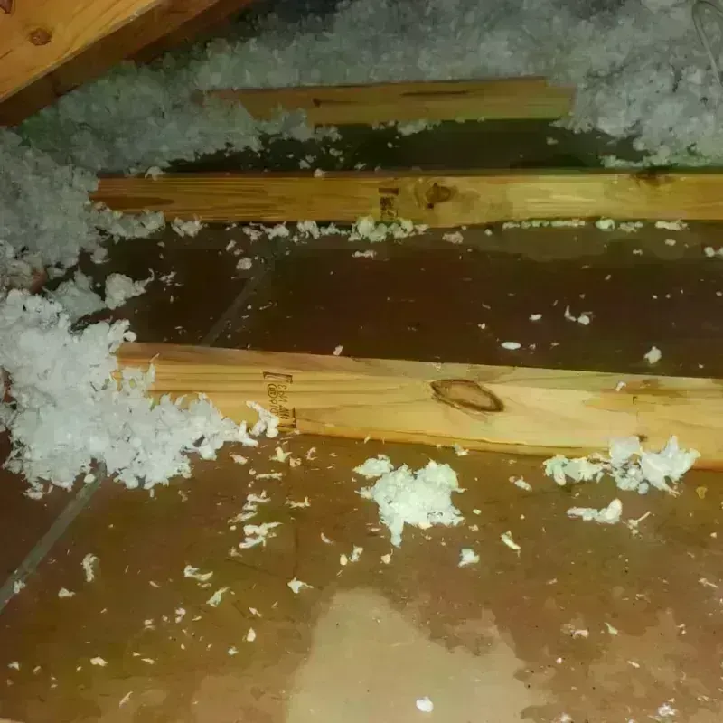 Attic Water Damage in Noank, CT